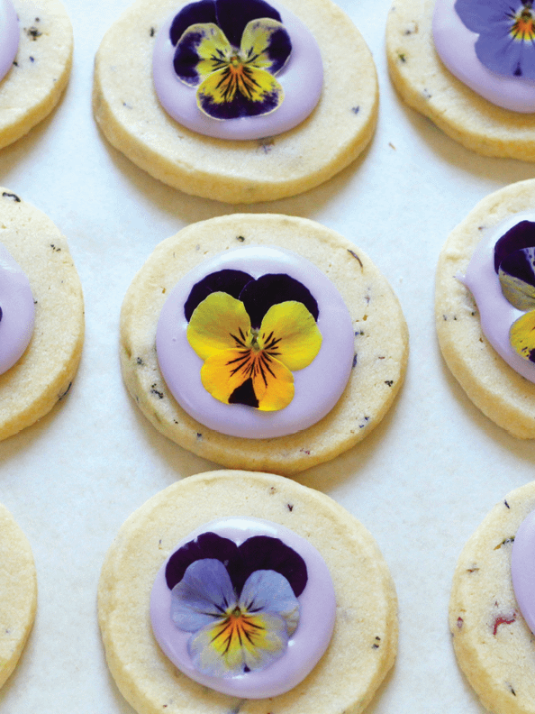The Biscuit Eater Digital Cookbook: In The Garden product image (10)