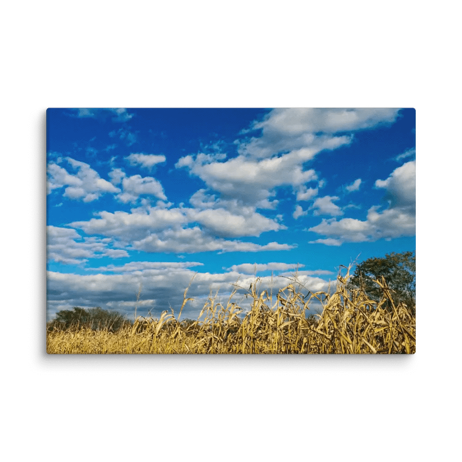 Autumn Harvest product image (1)