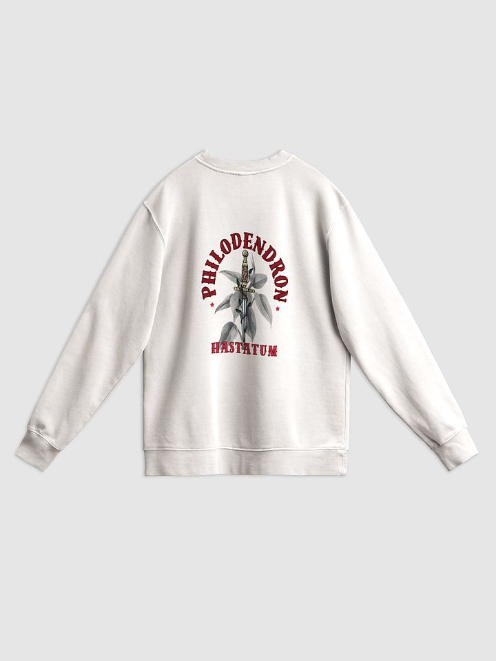 Silver Sword Sweatshirt product image (2)