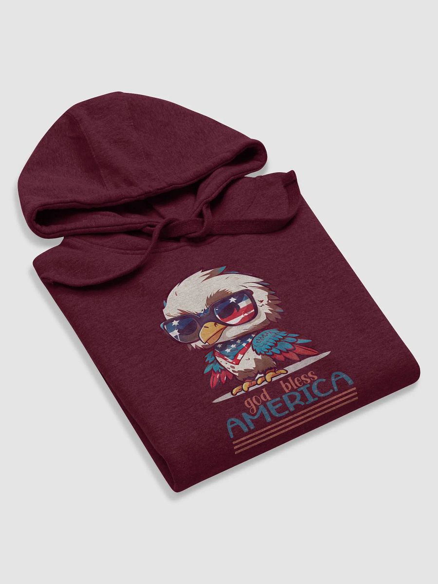 Eagle Valor Voter Hoodie product image (5)