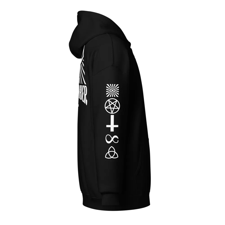 Not A Cult Member Hoodie (Black) product image (4)