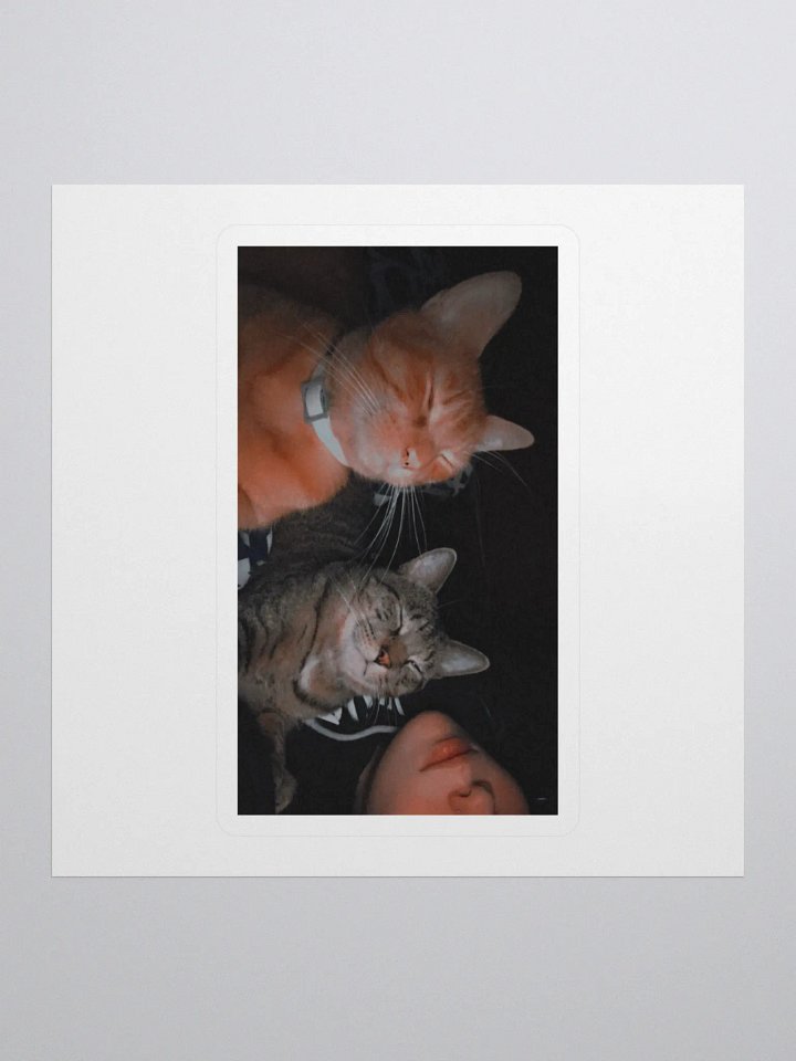 kitty stickers product image (1)