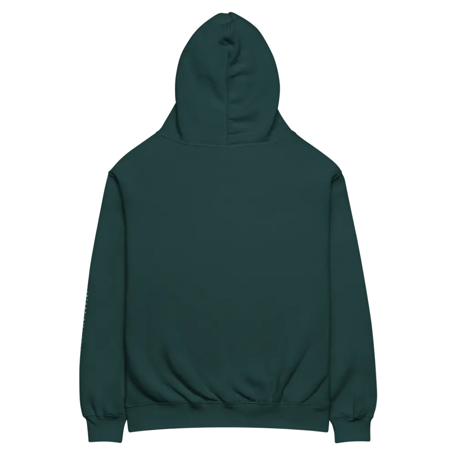 Rizarjay Premium Oversized Hoodie product image (24)