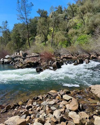 🌟🍀Prospecting for gold! X marks the spot. Swipe for pretty things. 

Have you ever looked for gold? Lmk👇

#california #goldru...