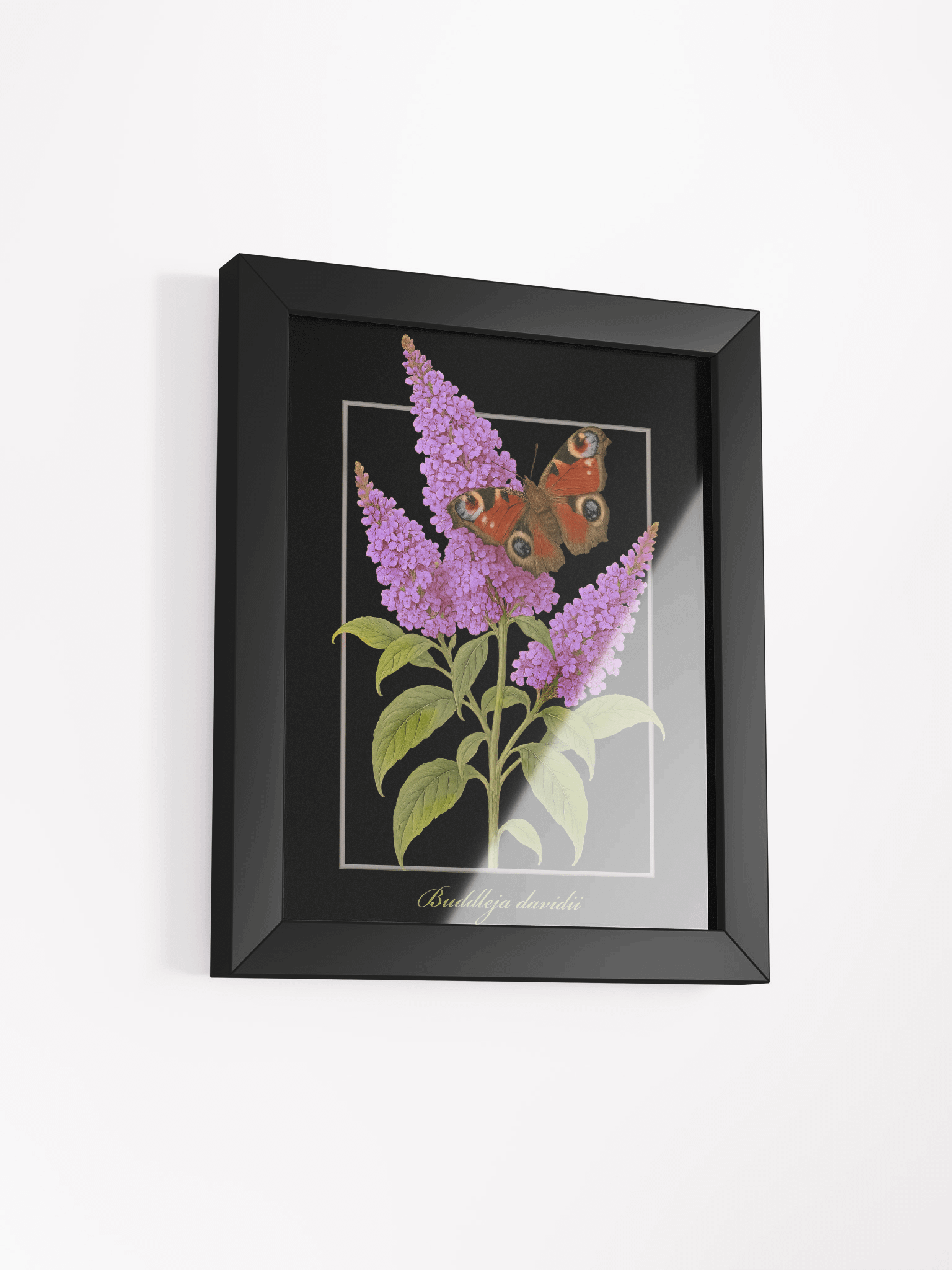 Butterfly bush and peacock butterfly Framed Matte Poster product image (20)