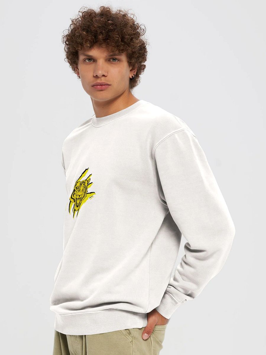 Sudadera con pigmento gráfico edición TryTiger product image (5)