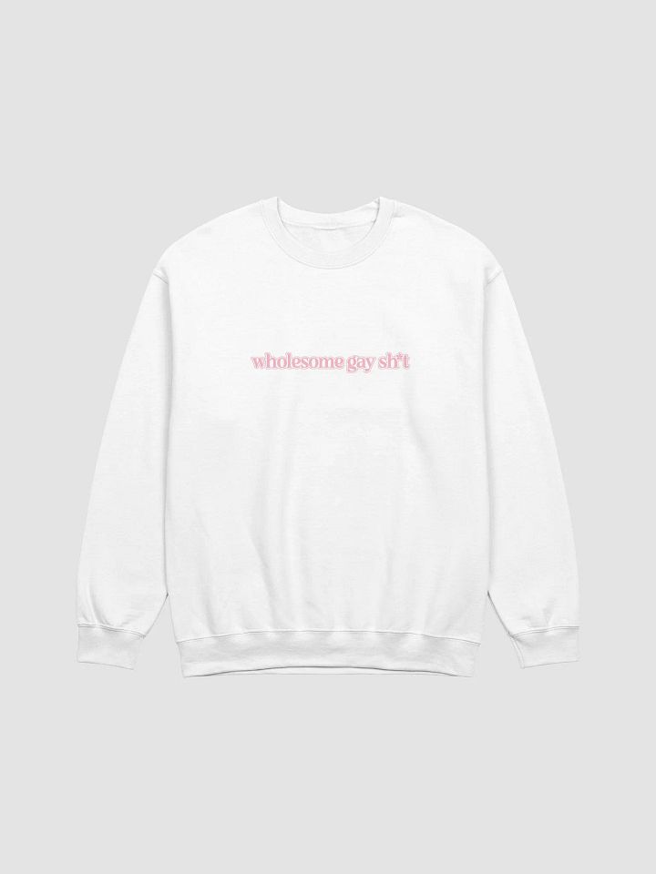 Wholesome Gay Sweatshirt product image (1)