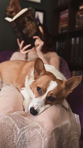 Reading time = cuddle time

#animalcompanion #corgigram #authorswithdogs #puppycuddlesarethebest #corgiofinsta #indieauthor #...