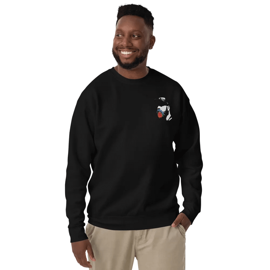 RainbowBeard Embroidered Logo Sweatshirt product image (11)