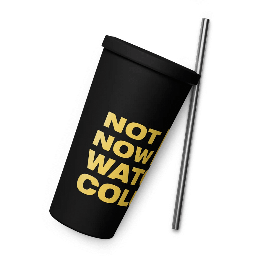 Not Now! Stainless Steel Tumbler product image (9)