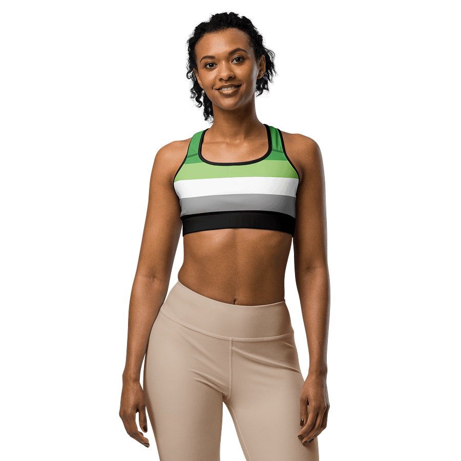 Aromantic Pride Flag Sports Bra product image (1)