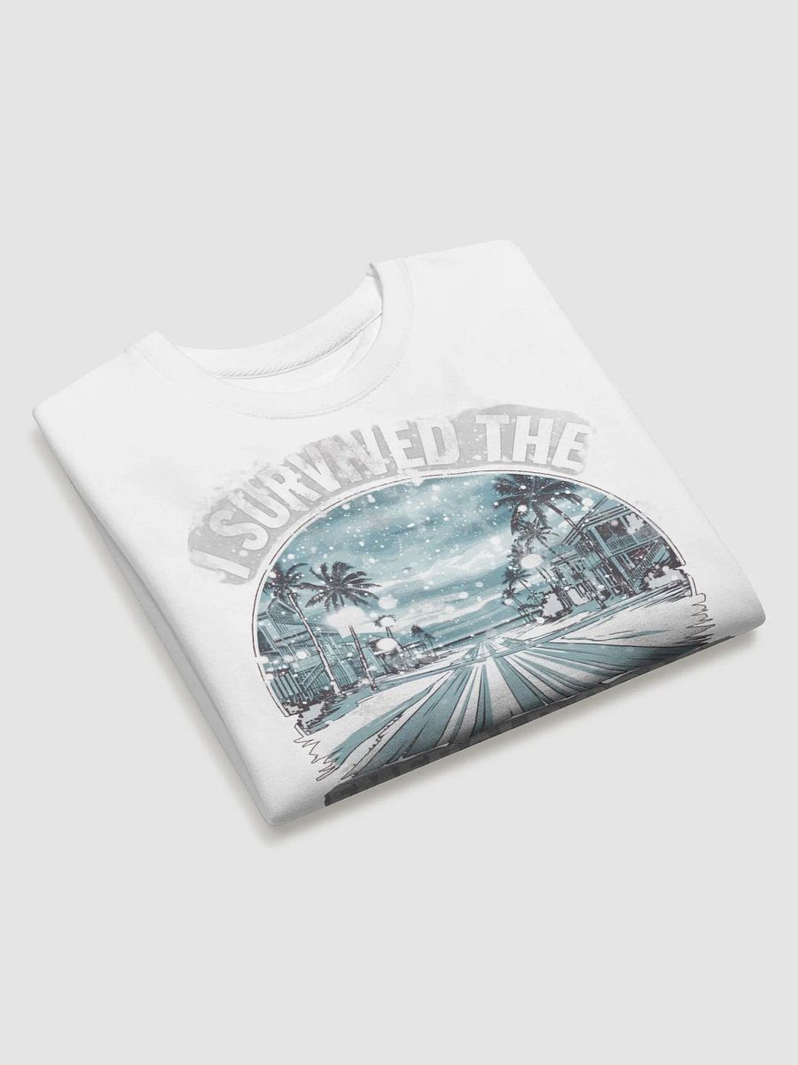 I survived the Emerald Coast Snowstorm 2025 Sweatshirt product image (3)