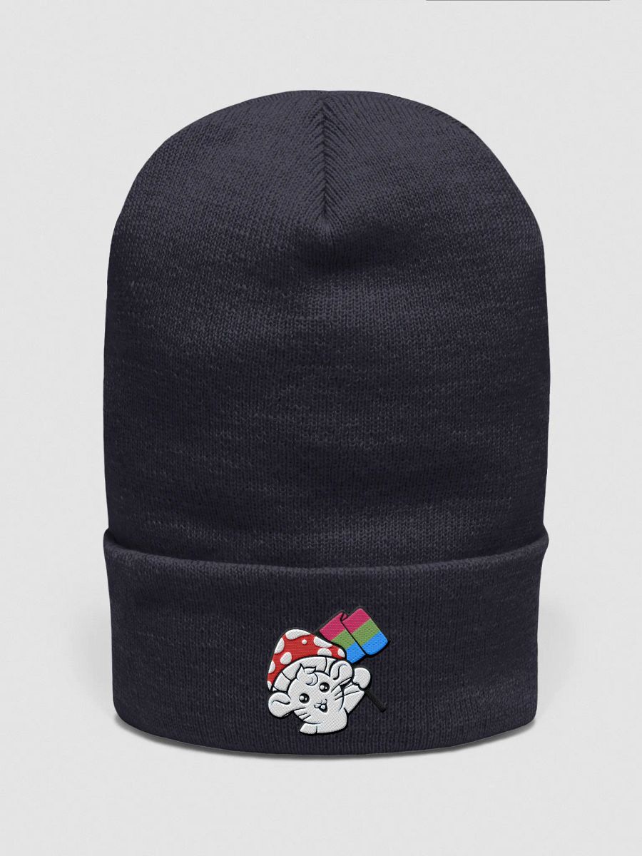 Polysexual beanie product image (1)