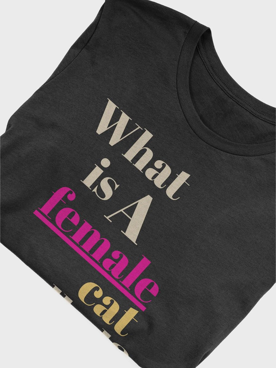 What a Female Cat Is Called" Bella + Canvas Supersoft T-Shirt product image (7)