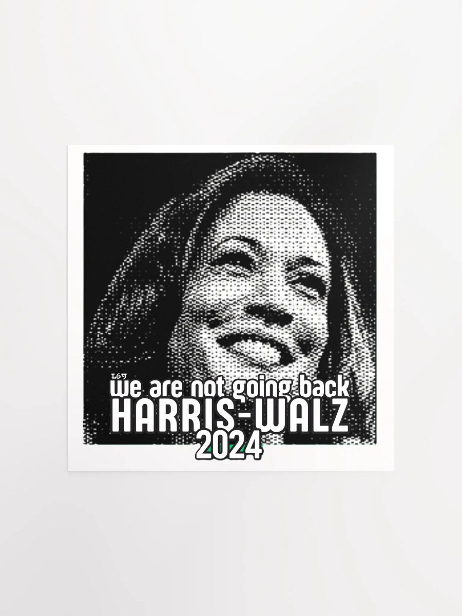 HARRIS-WALZ 2024 WE ARE NOT GOING BACK product image (5)