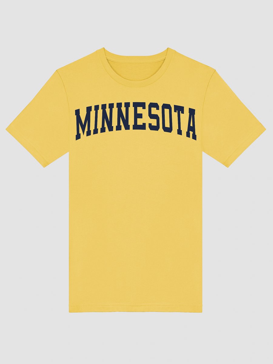 Minnesota Vintage Stylish Supersoft Unisex T-Shirt product image (5)