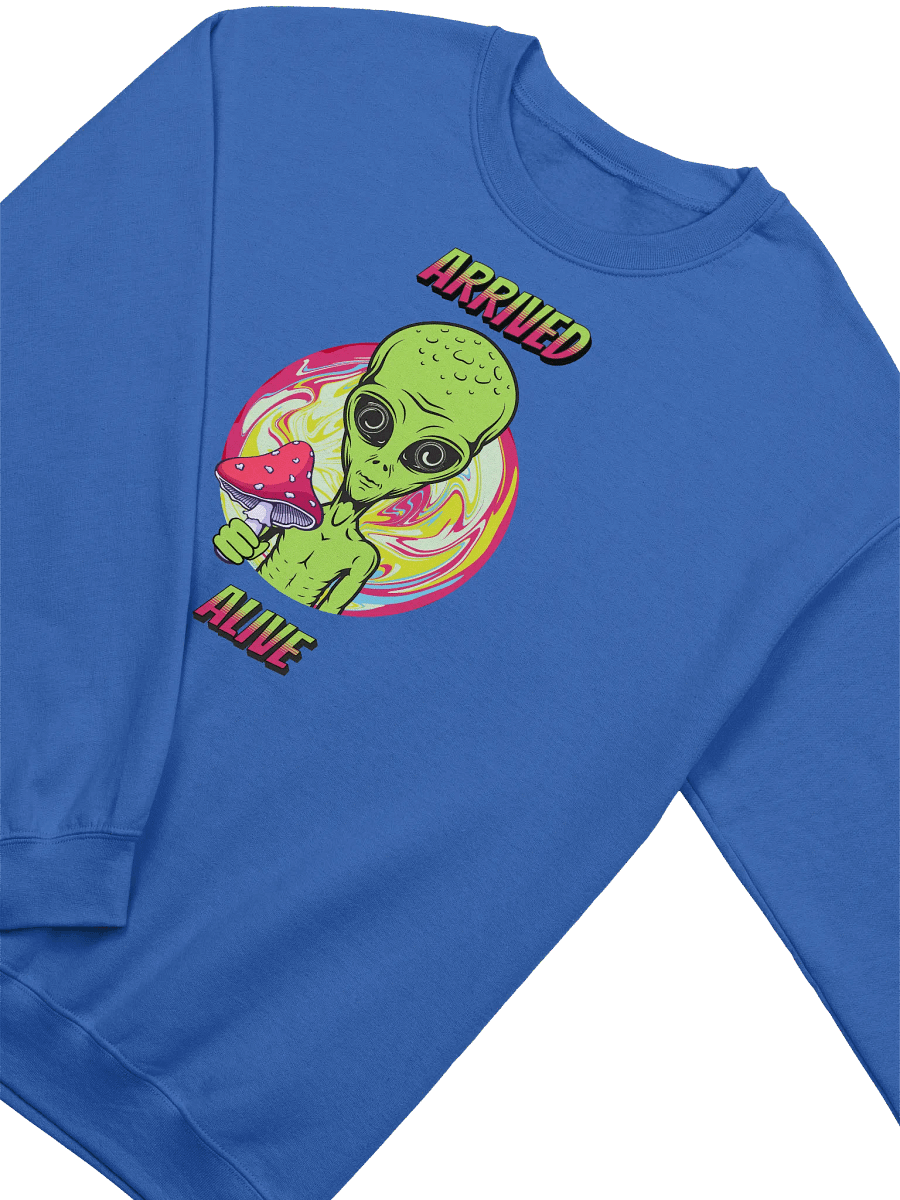 ARRIVED ALIVE ALIEN SWEATSHIRT product image (3)