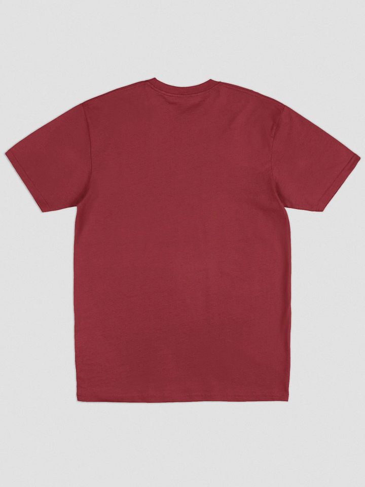 The Streaming Collective - Cotton Heritage Men's Premium Heavyweight Tee product image (2)