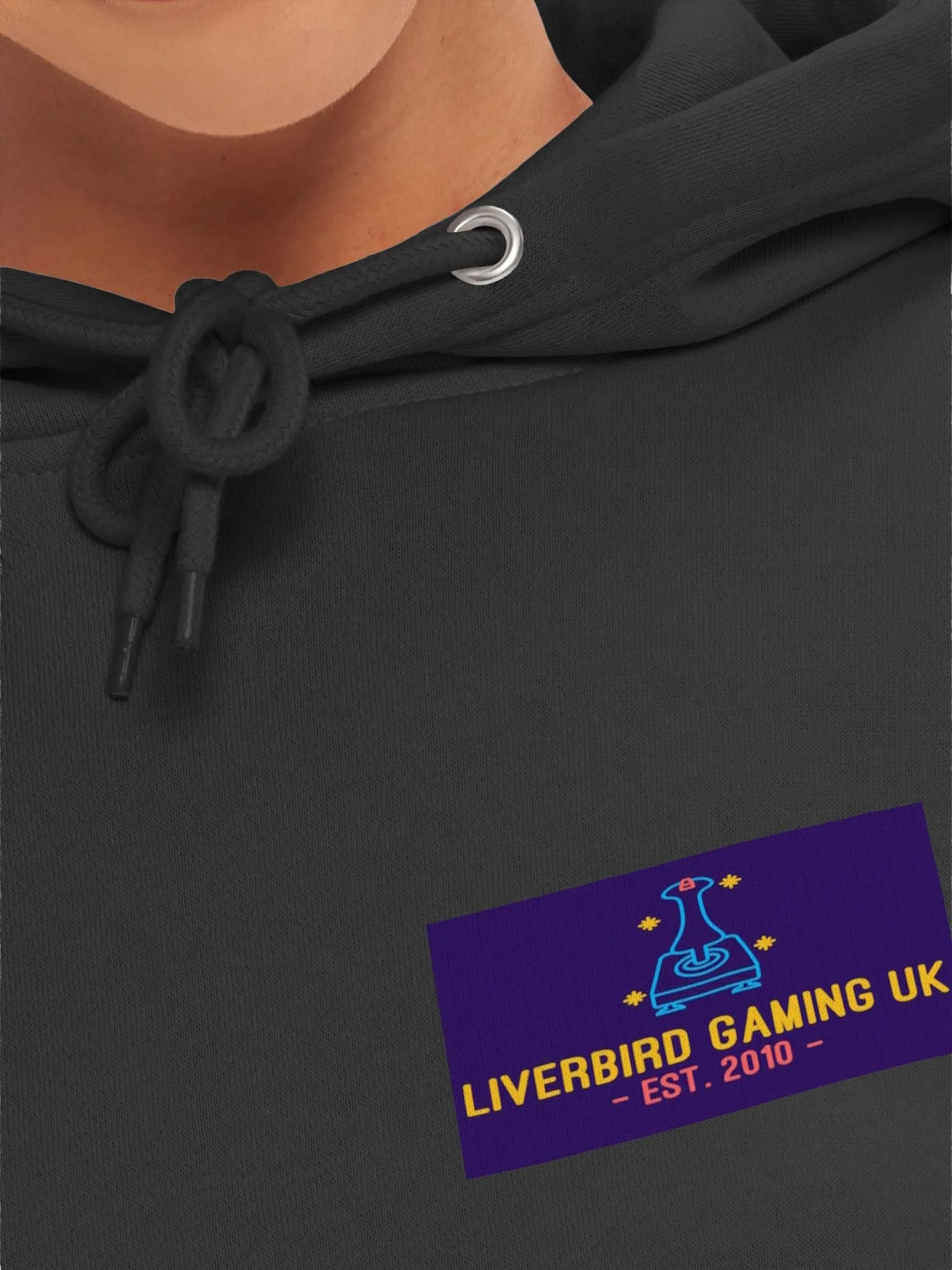 Liverbird Gaming UK Vintage Logo Hoodie product image (7)