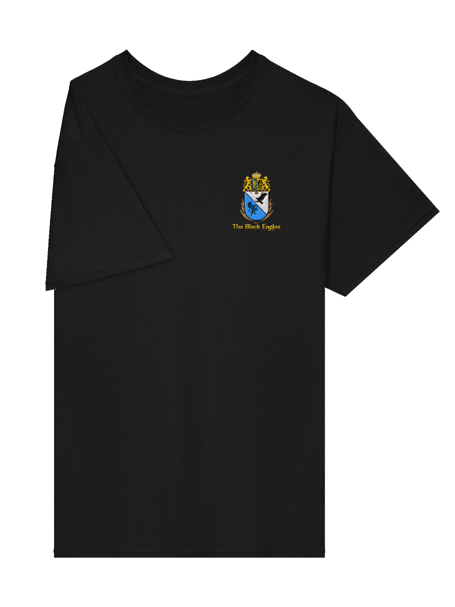 Black Eagles embroidered t-shirt product image (18)