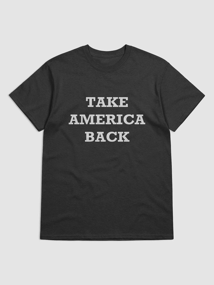 TAKE AMERICA BACK Heavyweight T-Shirt product image (1)