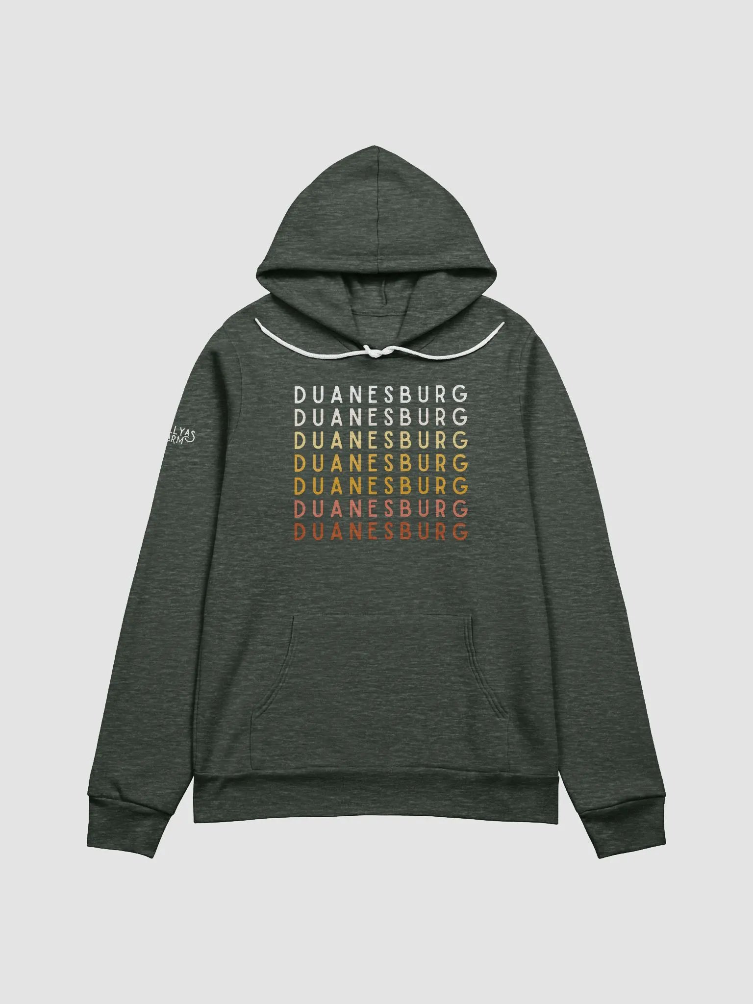 Duanesburg, NY Hoodie product image (2)