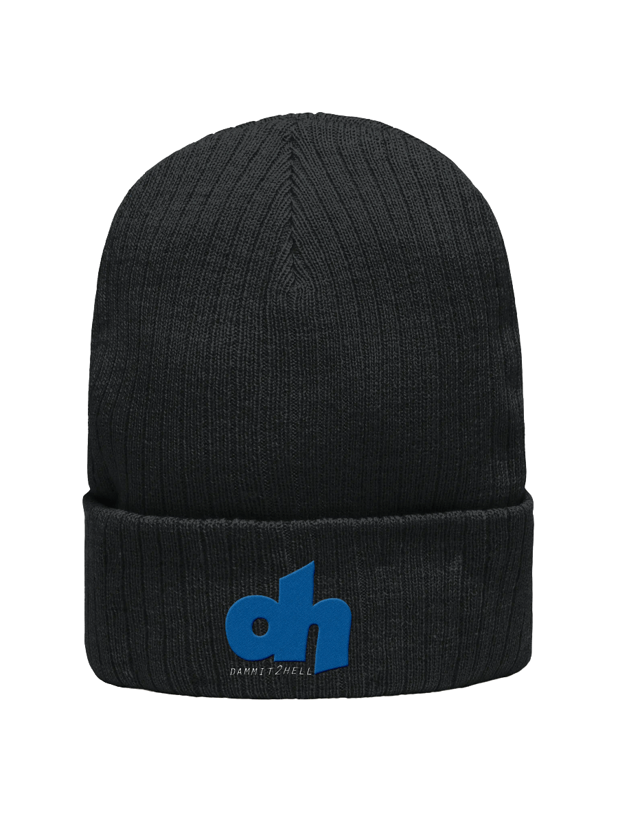 d2h Logo Knit Beanie product image (4)