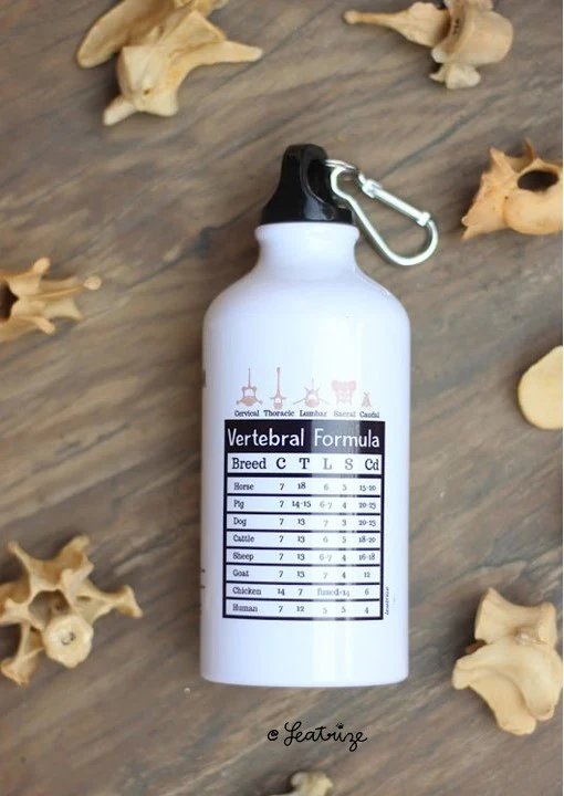 Canine Body System Sports Jug Set product image (3)