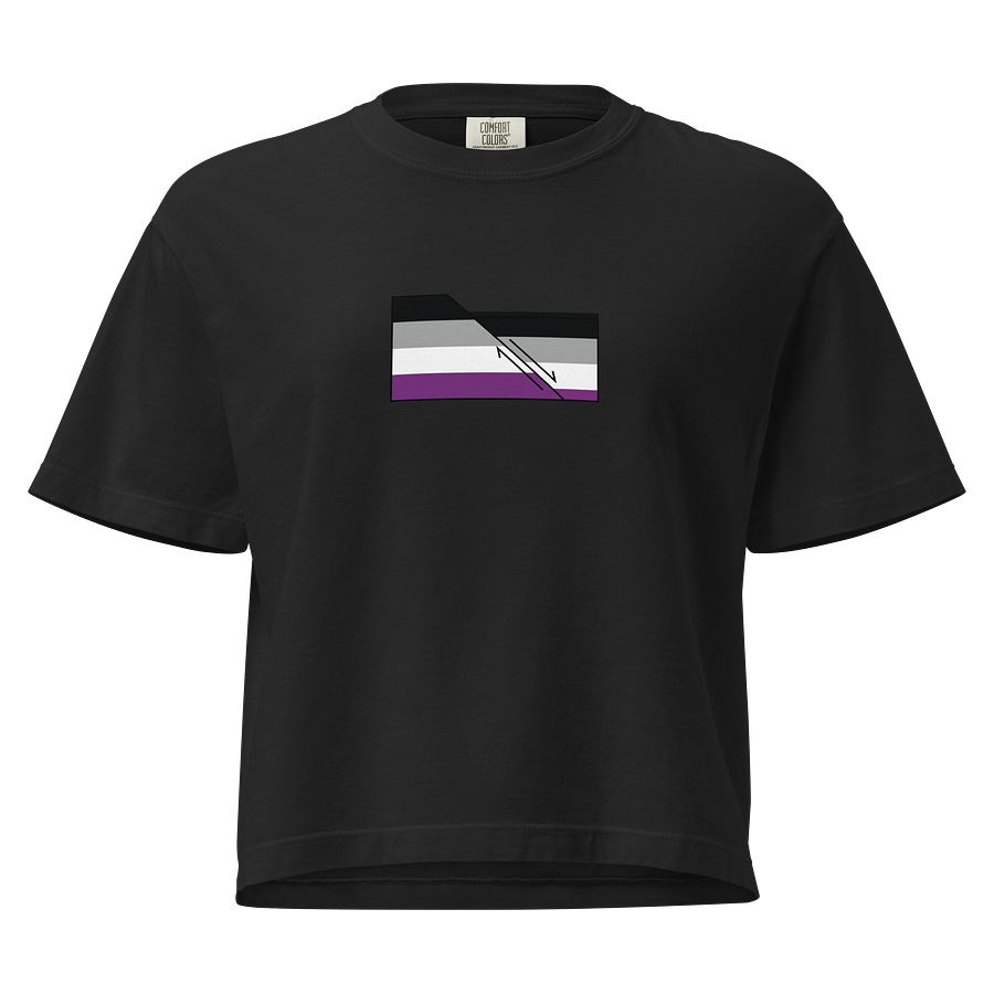 Faulted Pride Flags- Ace Shirt product image (1)