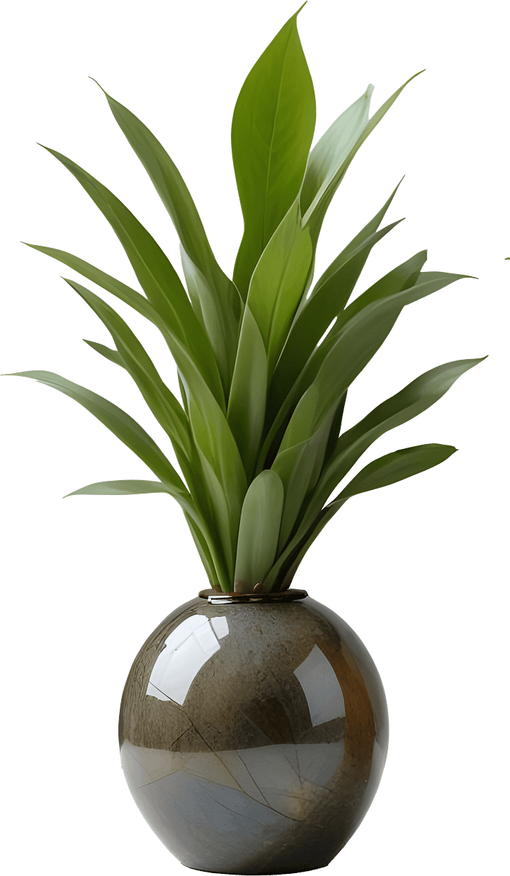 Natural Glow – Handcrafted Boho Vase PNG product image (1)