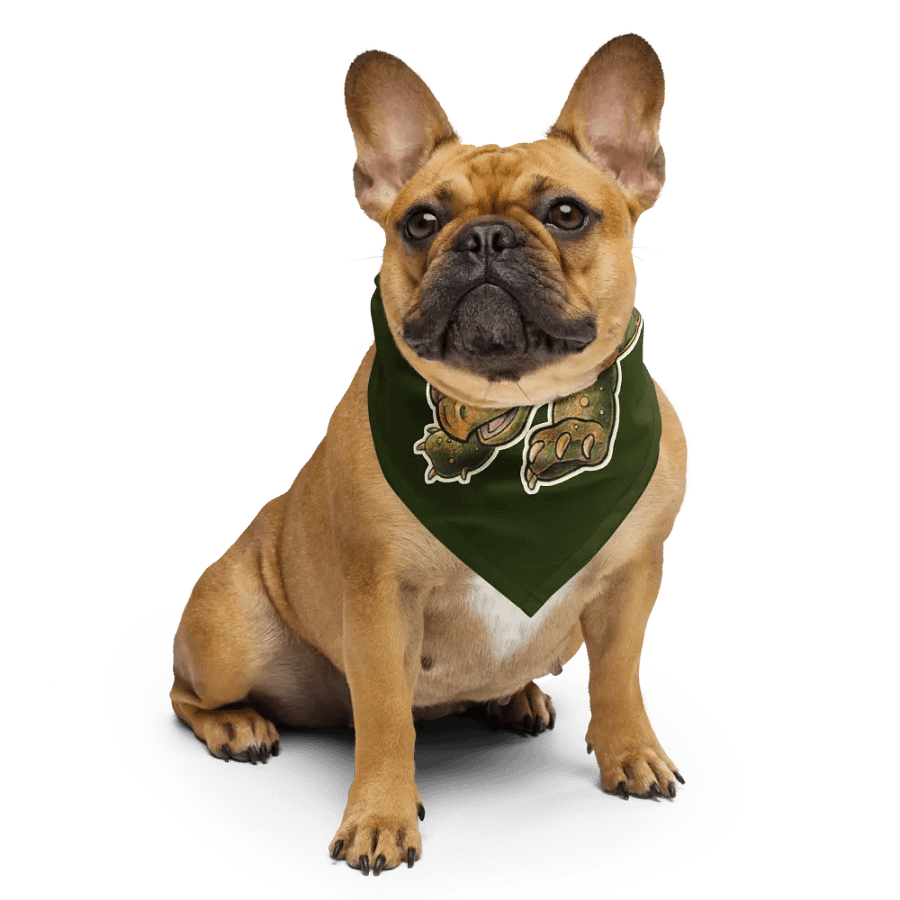 Jetpack Tortoise - SFA All-Over Bandana product image (6)