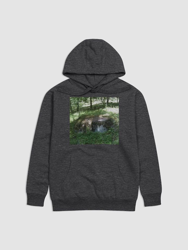 Rimas Zeimys hoodie product image (1)