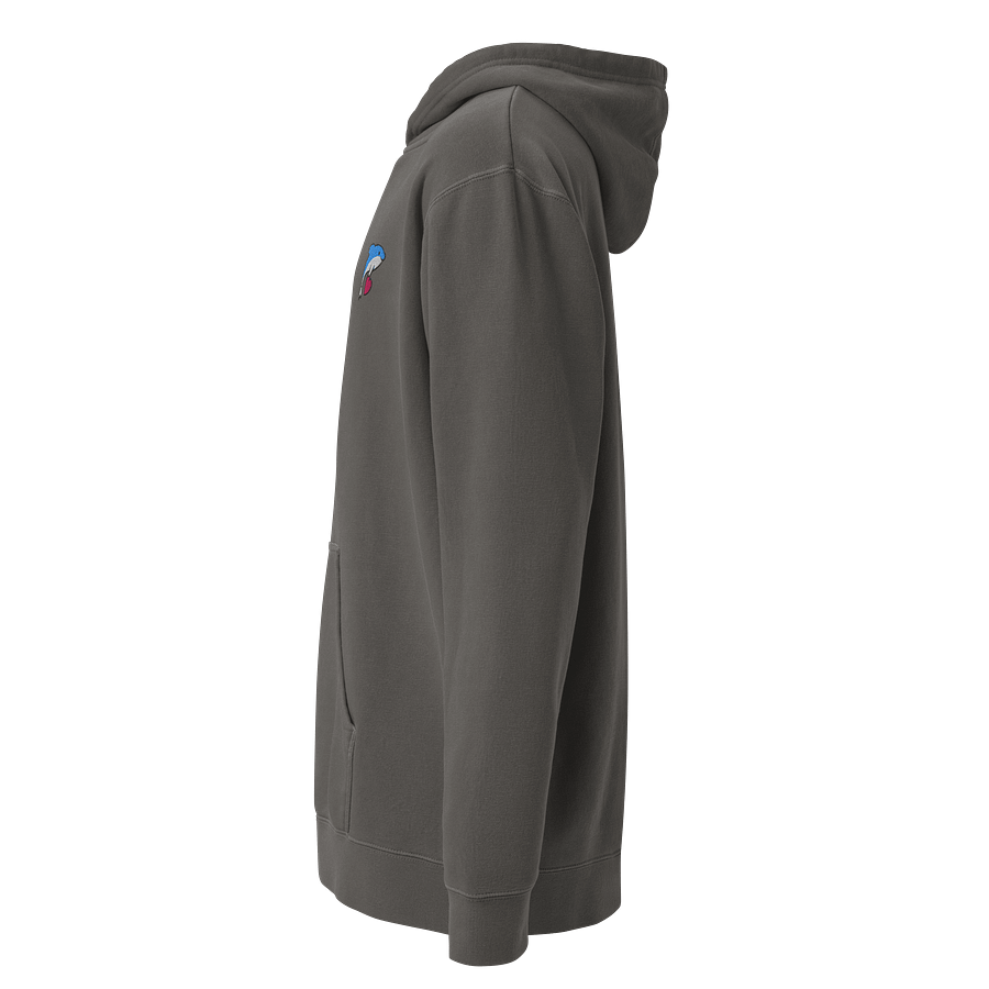 Premium Embroidered Dolphin Hoodie product image (9)