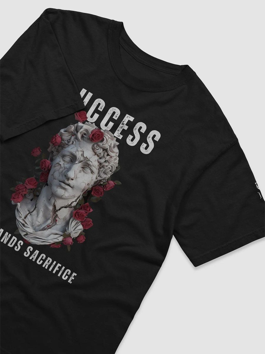 Success Demands Sacrifice product image (3)