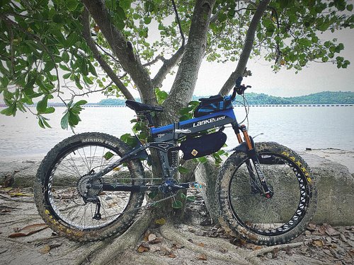 I got fat after my Tokyo holiday. So back on the #fatbike to lose some weight! And a #selamathariraya to all my Muslim friend...