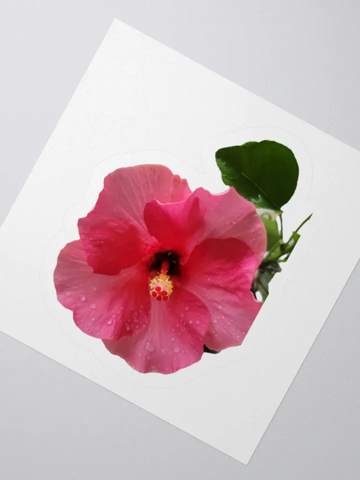 Flower Stickers v2 product image (2)