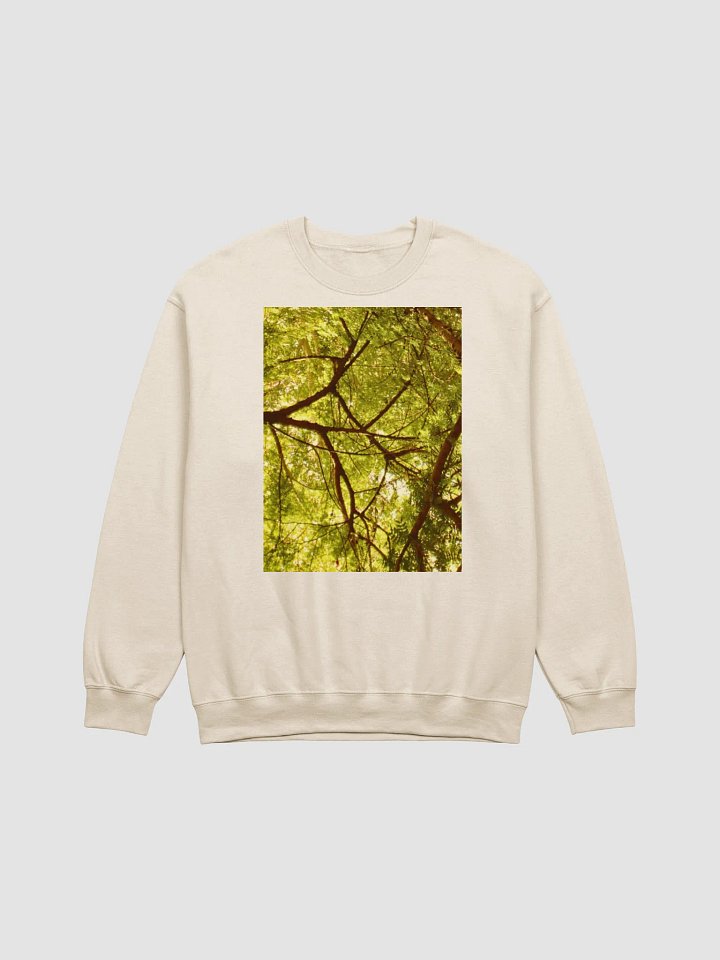 EARTH TONE BEIGE SWEATSHIRT product image (1)