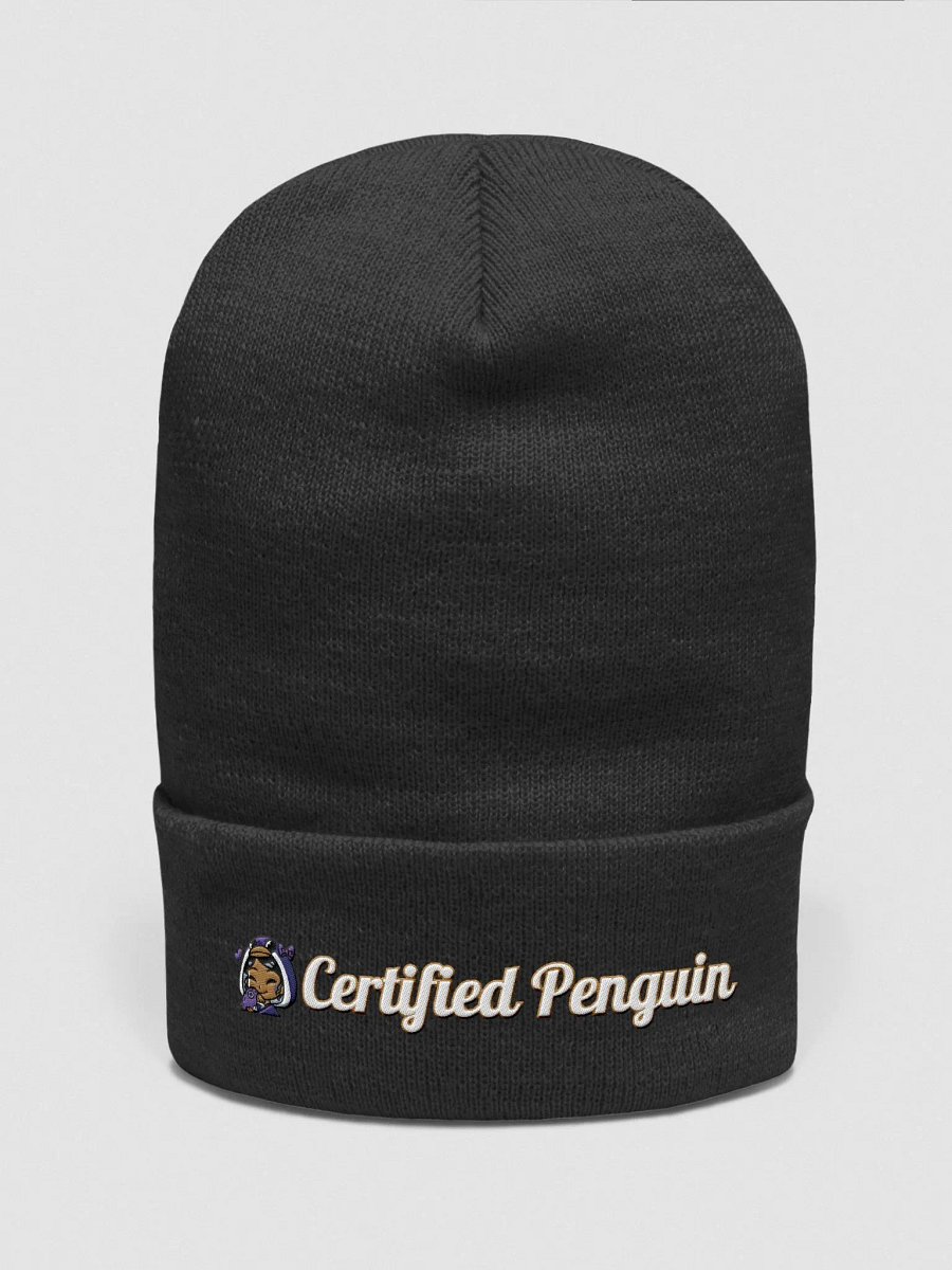 Certified Penguin Beanie product image (1)