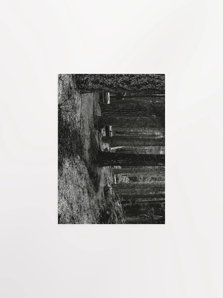 Hiking in the Buckhorn Wilderness Matte Poster product image (1)