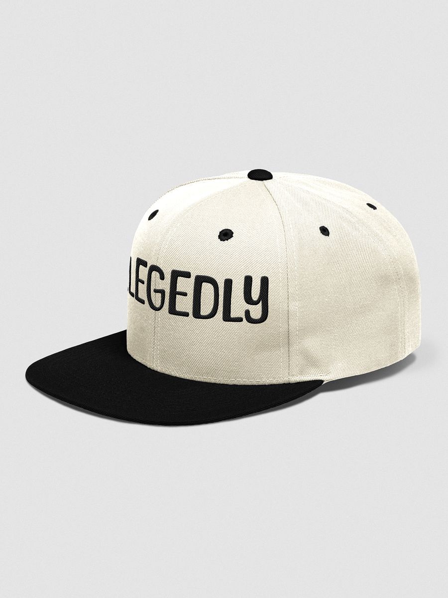 ALLEGEDLY POLTICAL EMBROIDERY Cap product image (17)
