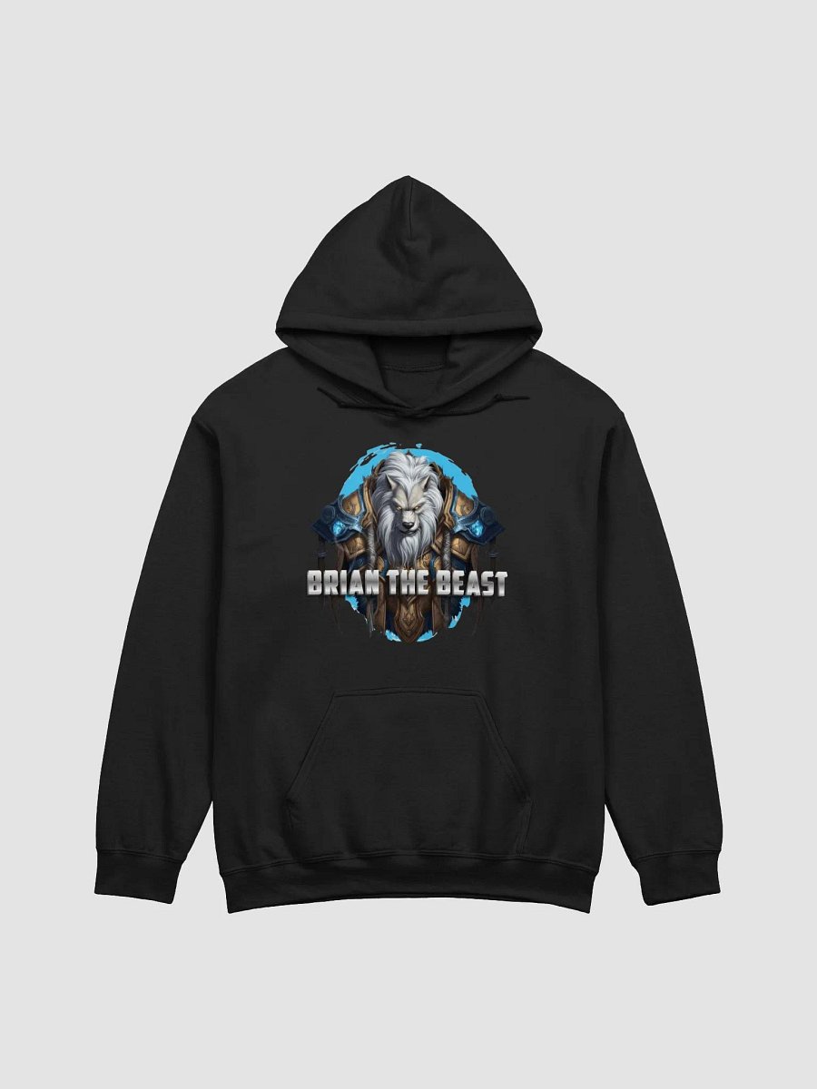 BTB Classic Logo Pullover Hoodie product image (5)
