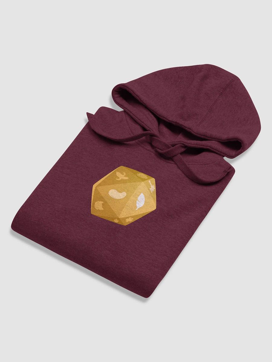 b20 - Sizzled Hoodie product image (5)