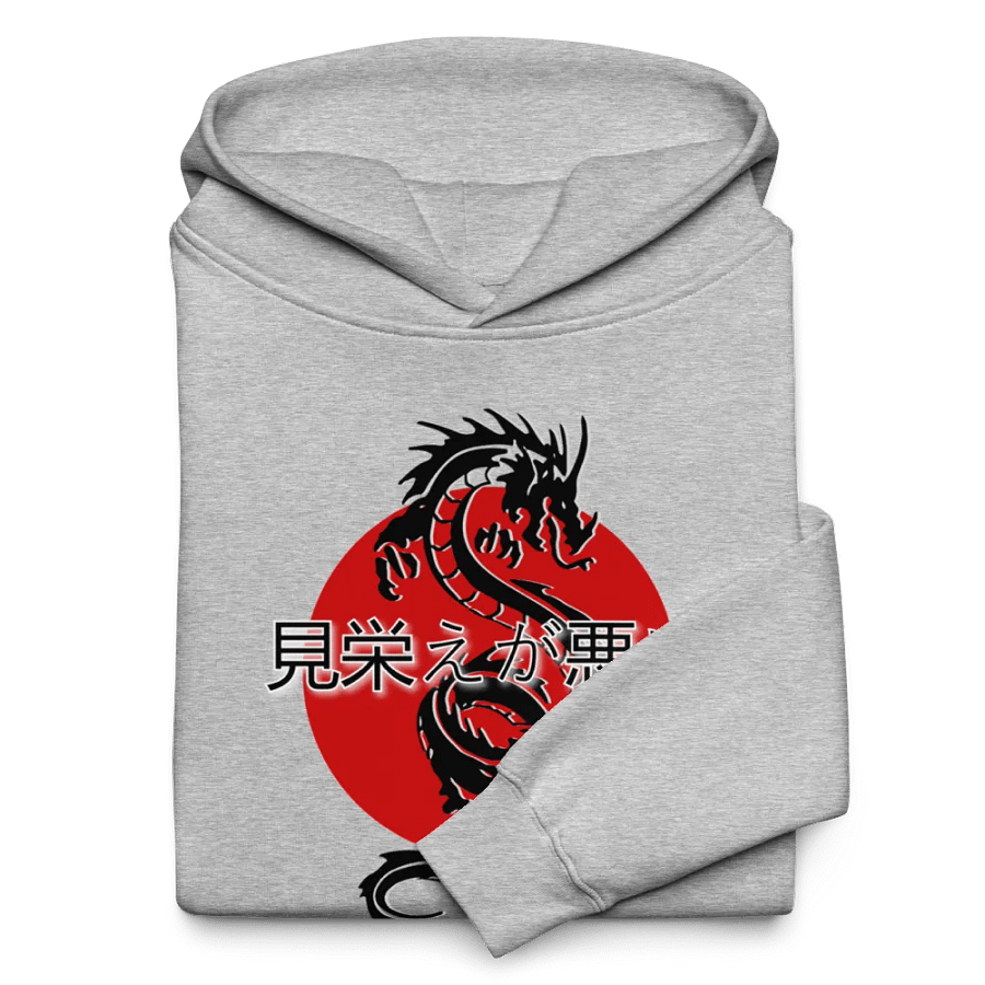 Dragon Fury Unisex Oversized Hoodie product image (10)