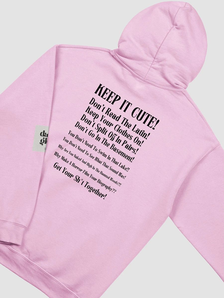 Don't Read The Latin BSFR Hoodie product image (3)