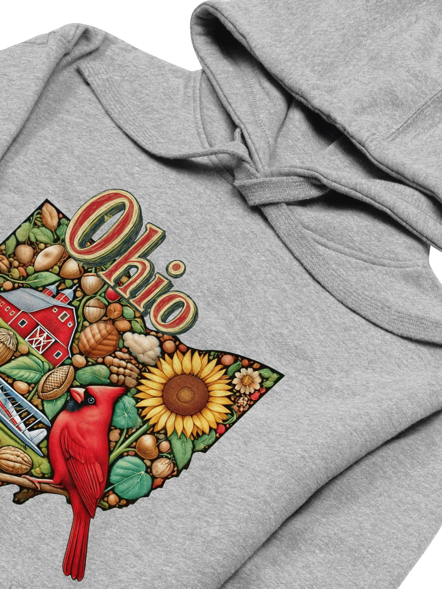 Ohio State Pride Unisex Hoodie product image (3)