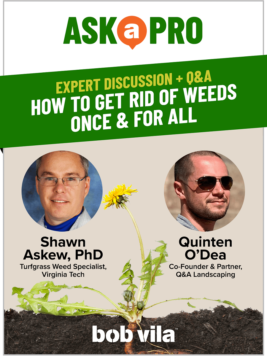 How to Get Rid of Weeds Once & For All product image (1)