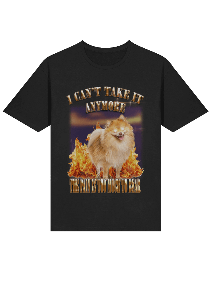 the pain product image (1)