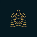 Honu Spirit