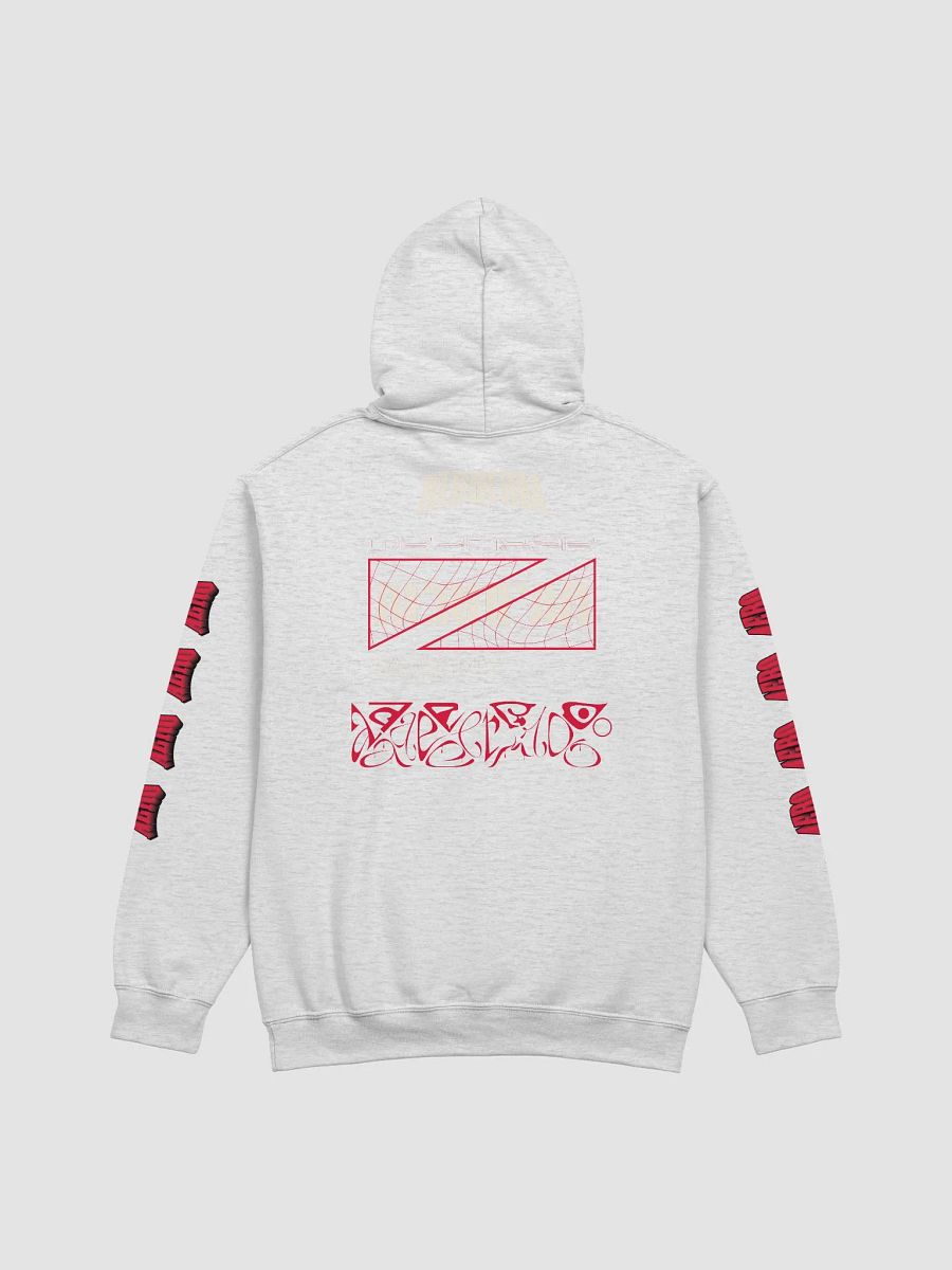 AeroFam Hoodie With Text Sleeve product image (2)
