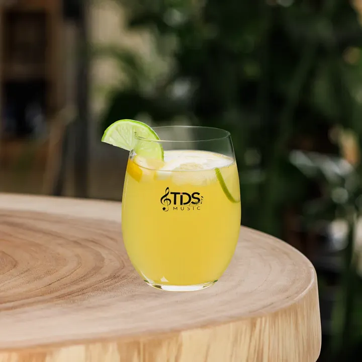 TDS Music Clear Stemless Wine Glass product image (1)